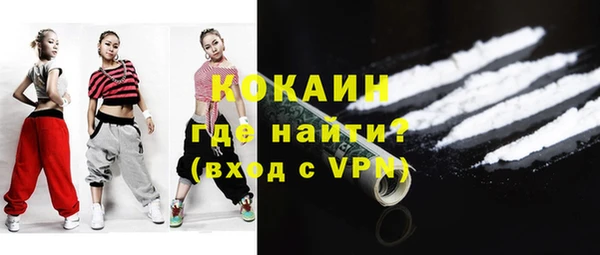 сатива Дмитриев