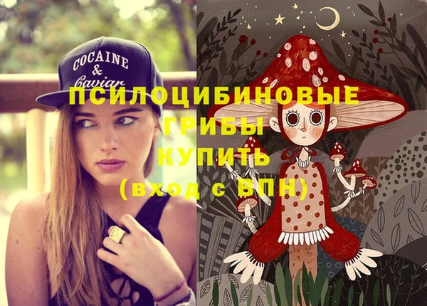 метадон Алексеевка
