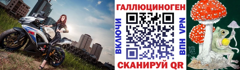 Галлюциногенные грибы мицелий Калач